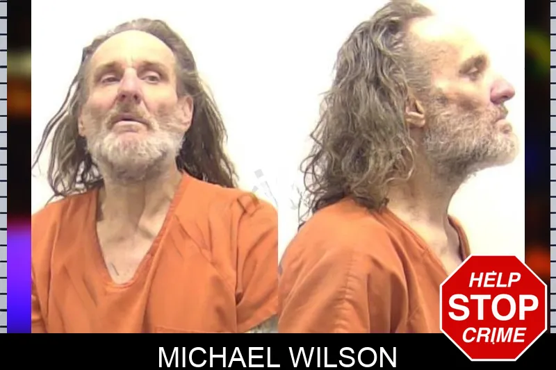 Michael Wilson mugshot
