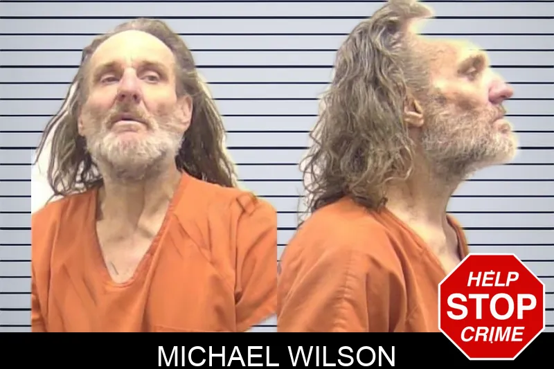 Michael Wilson mugshot