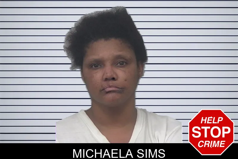 Michaela Sims mugshot – Gwinnett County , Georgia Michaela Sims mugshot