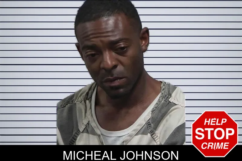 Micheal Johnson mugshot