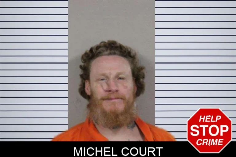 Michel Court