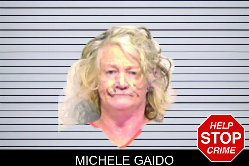 Michele Gaido mugshot