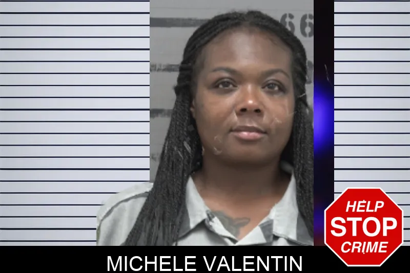 Michele Valentin mugshot