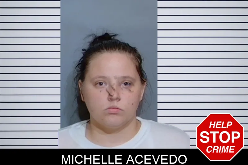 Michelle Acevedo mugshot
