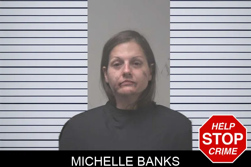Michelle Banks mugshot