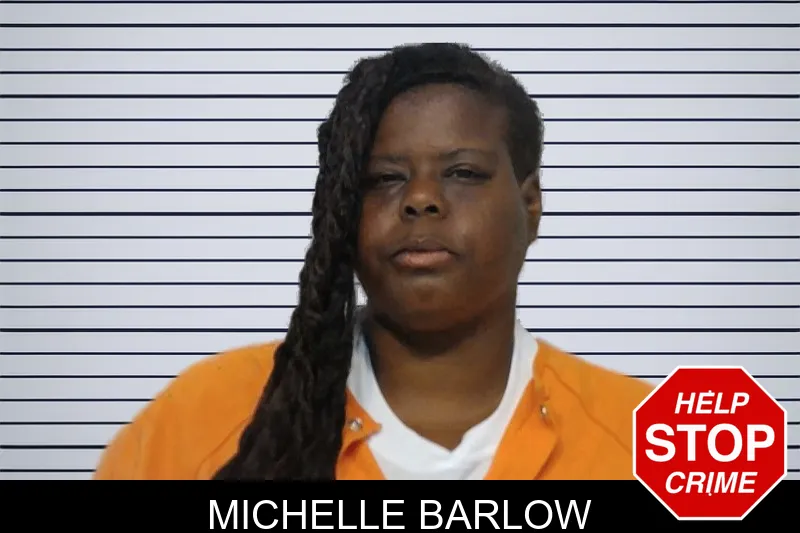 Michelle Barlow mugshot – Bibb County , Georgia Michelle Barlow mugshot