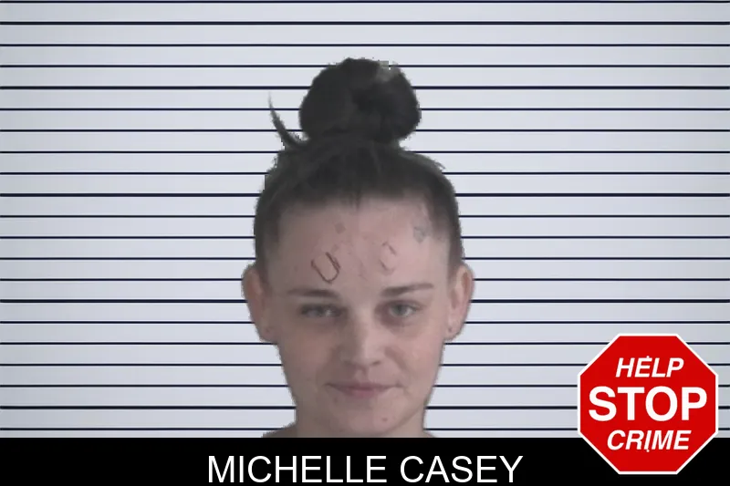 Michelle Casey mugshot – Brantley County , Georgia Michelle Casey mugshot
