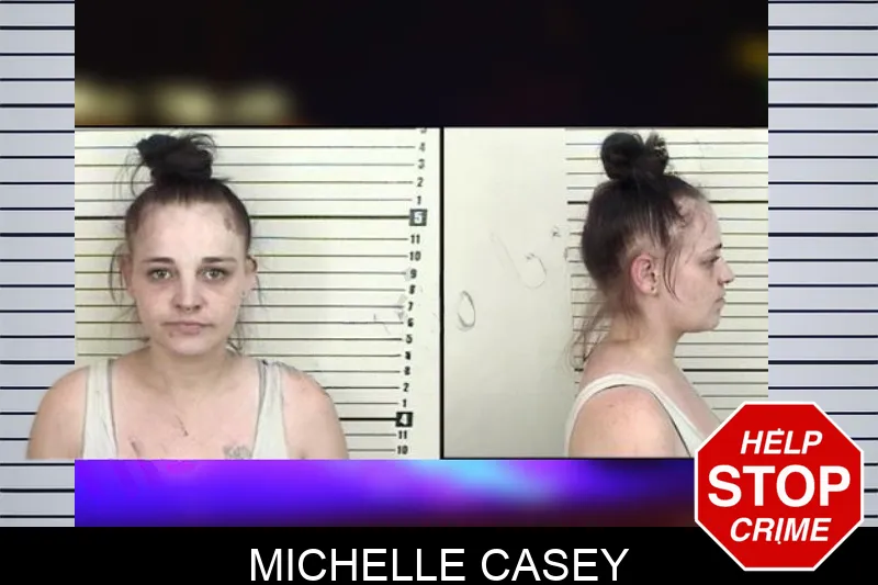 Michelle Casey mugshot
