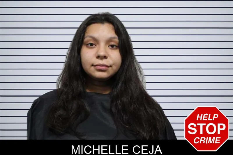 Michelle Ceja mugshot