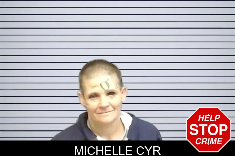 Michelle Cyr mugshot