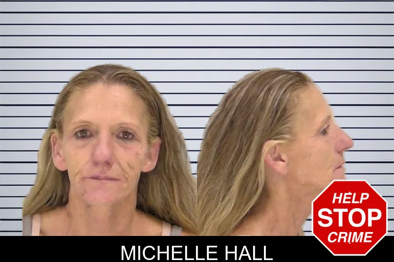 Michelle Hall mugshot
