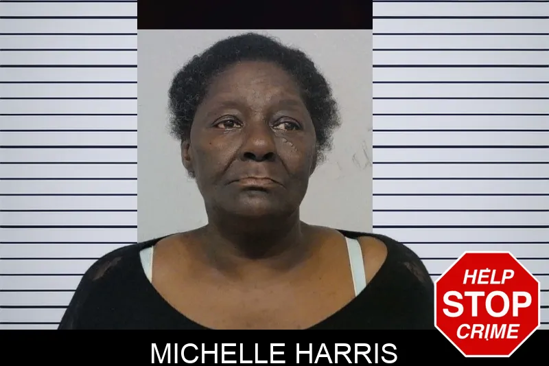 Michelle Harris mugshot – Bibb County , Georgia Michelle Harris mugshot