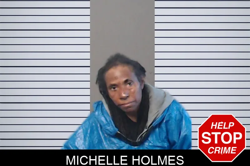 Michelle Holmes mugshot – DeKalb County , Georgia Michelle Holmes mugshot