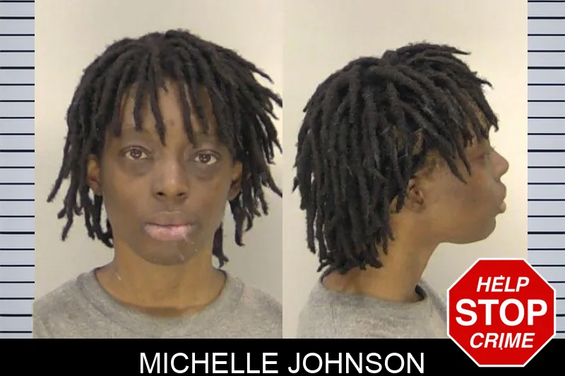 Michelle Johnson mugshot