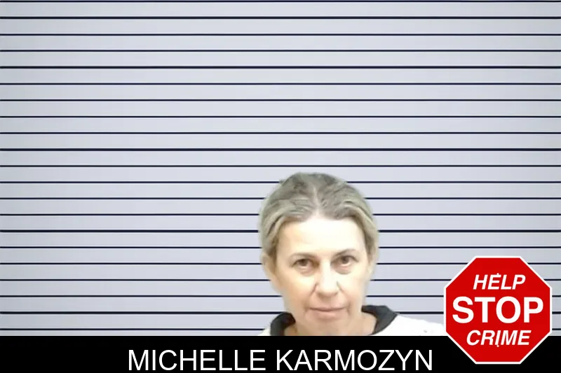 Michelle Karmozyn mugshot