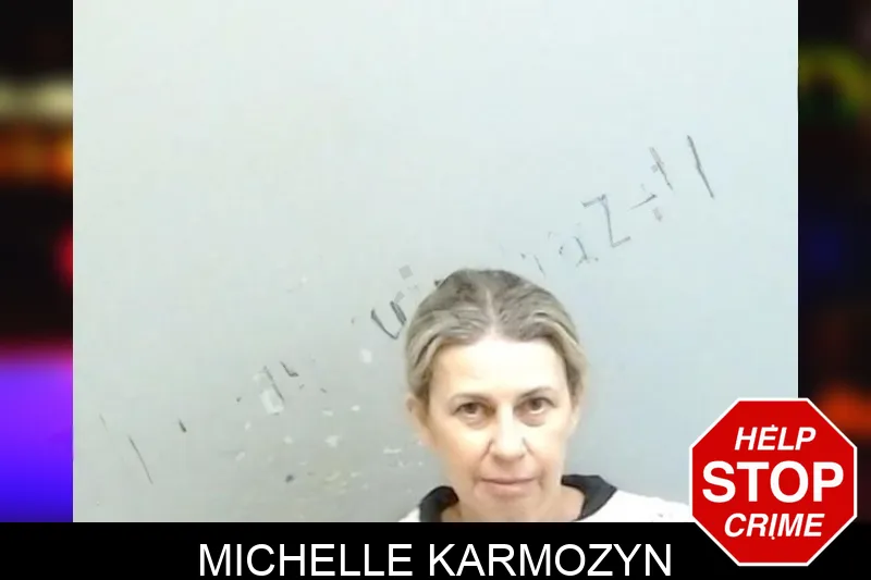 Michelle Karmozyn mugshot