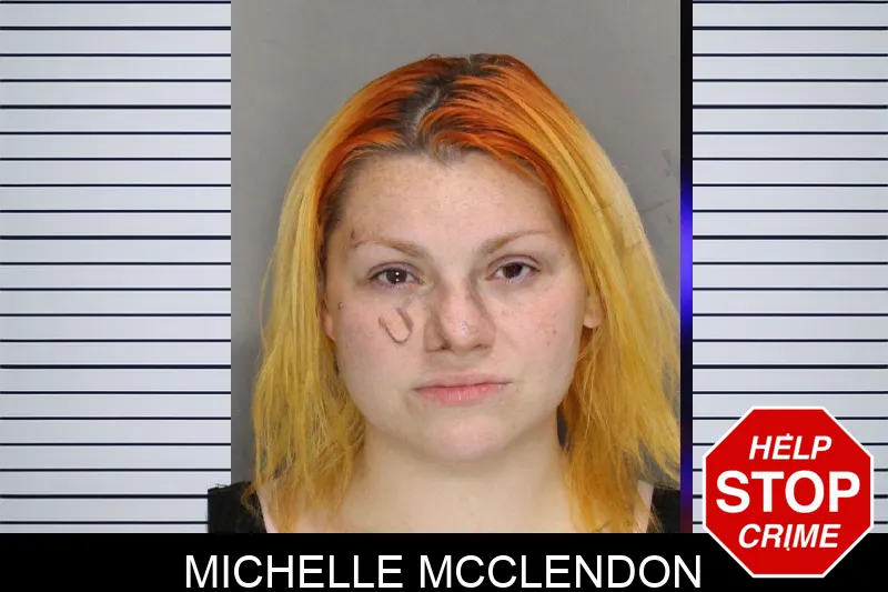 Michelle McClendon mugshot