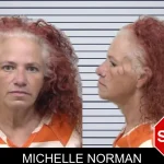 Michelle Norman mugshot