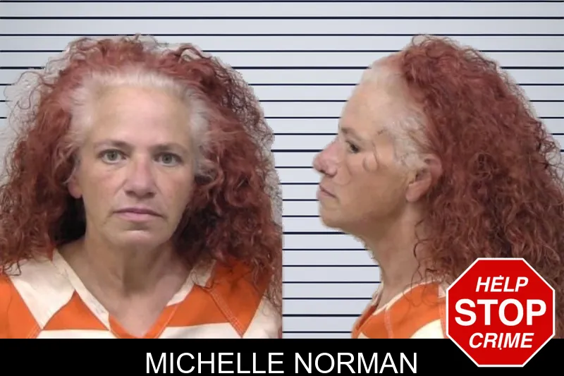 Michelle Norman mugshot