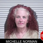 Michelle Norman mugshot