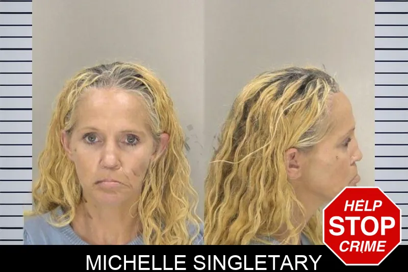 Michelle Singletary mugshot – Richmond County , Georgia Michelle Singletary mugshot