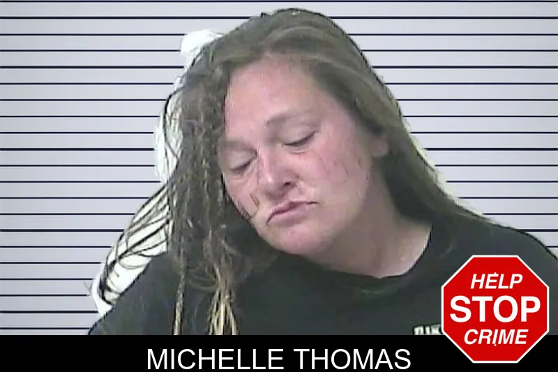 Michelle Thomas mugshot – Oconee County , Georgia Michelle Thomas mugshot