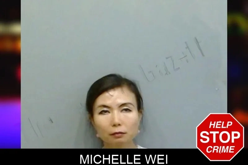 Michelle Wei mugshot – Fulton County , Georgia Michelle Wei mugshot