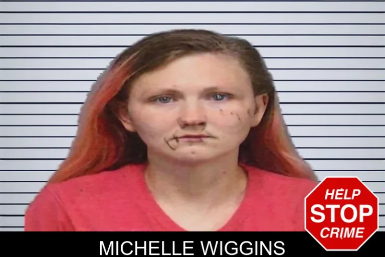 Michelle Wiggins mugshot – White County , Georgia Michelle Wiggins