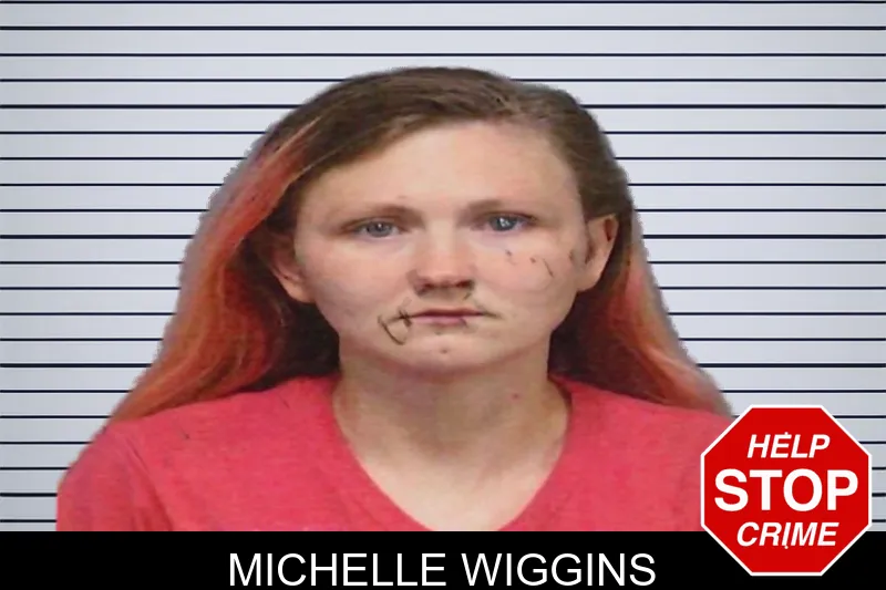 Michelle Wiggins mugshot – White County , Georgia Michelle Wiggins mugshot