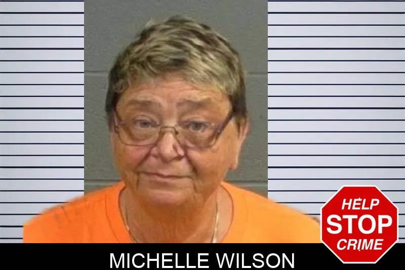 Michelle Wilson mugshot