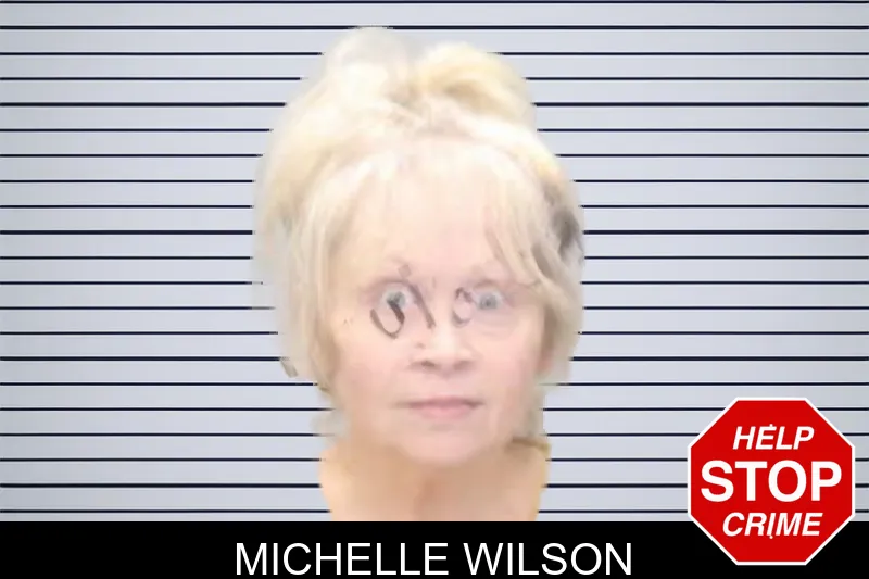 Michelle Wilson mugshot