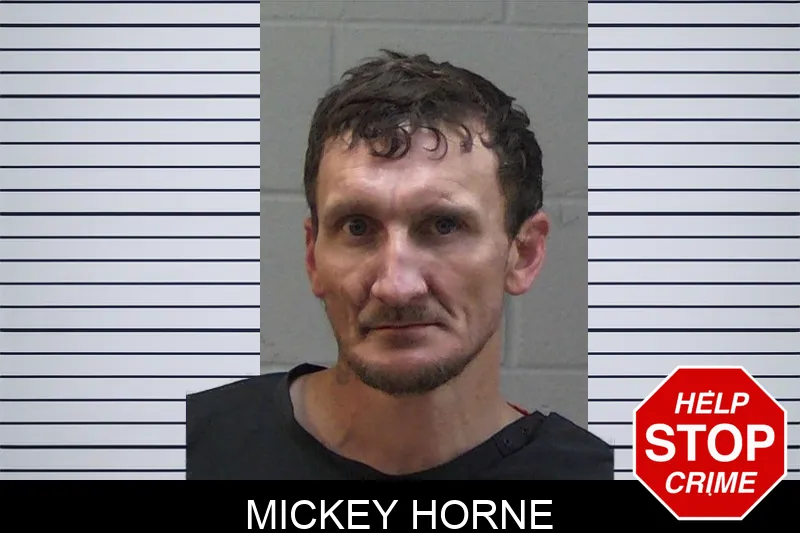 Mickey Horne mugshot