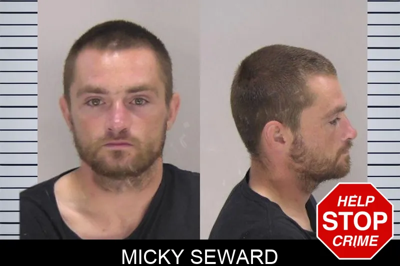 Micky Seward mugshot