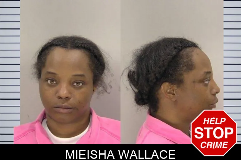 Mieisha Wallace mugshot