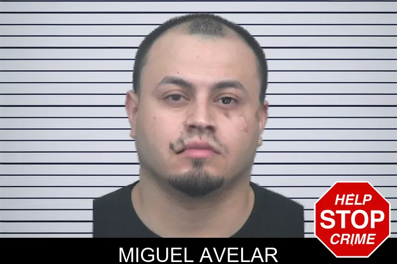 Miguel Avelar mugshot