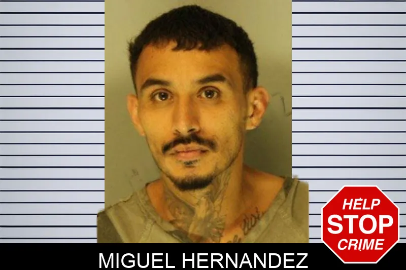 Miguel Hernandez mugshot
