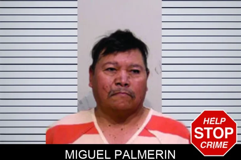 Miguel Palmerin