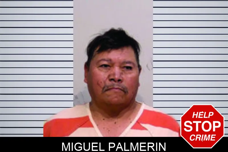 Miguel Palmerin mugshot – Bartow County , Georgia Miguel Palmerin mugshot
