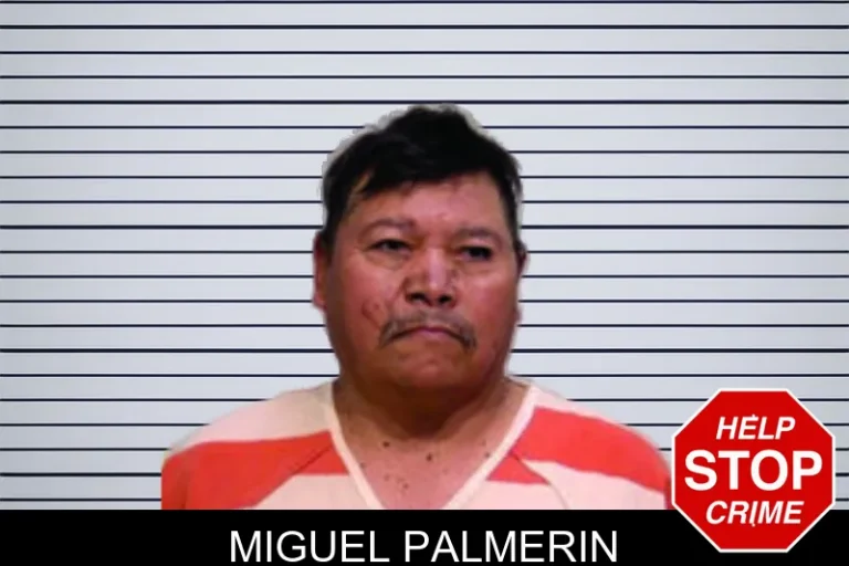 Miguel Palmerin