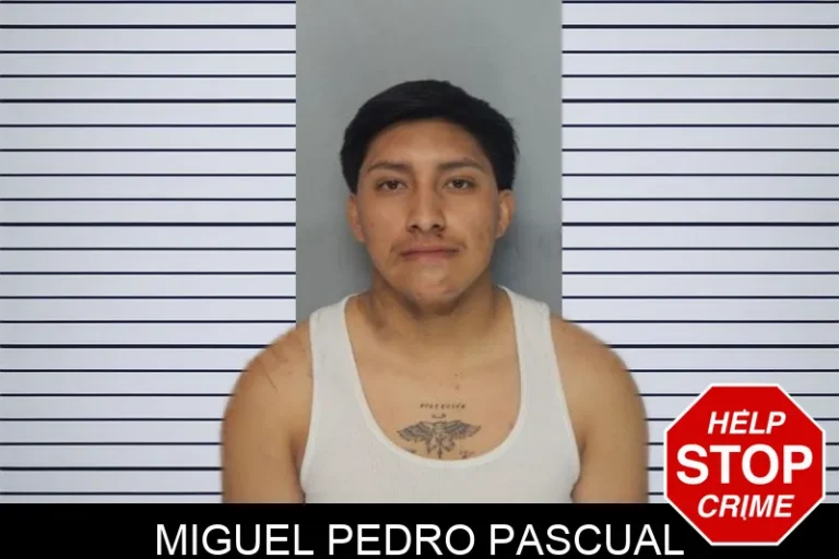 Miguel Pedro Pascual