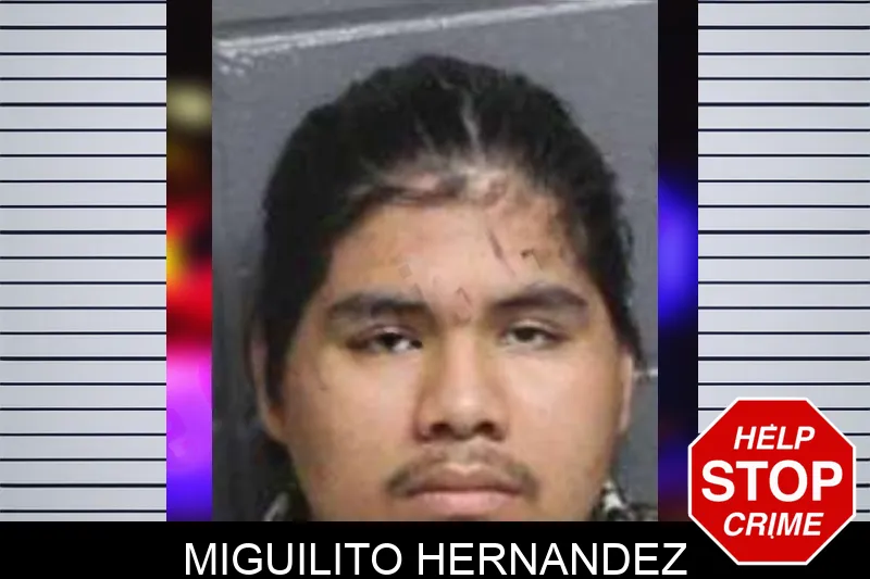 Miguilito Hernandez mugshot