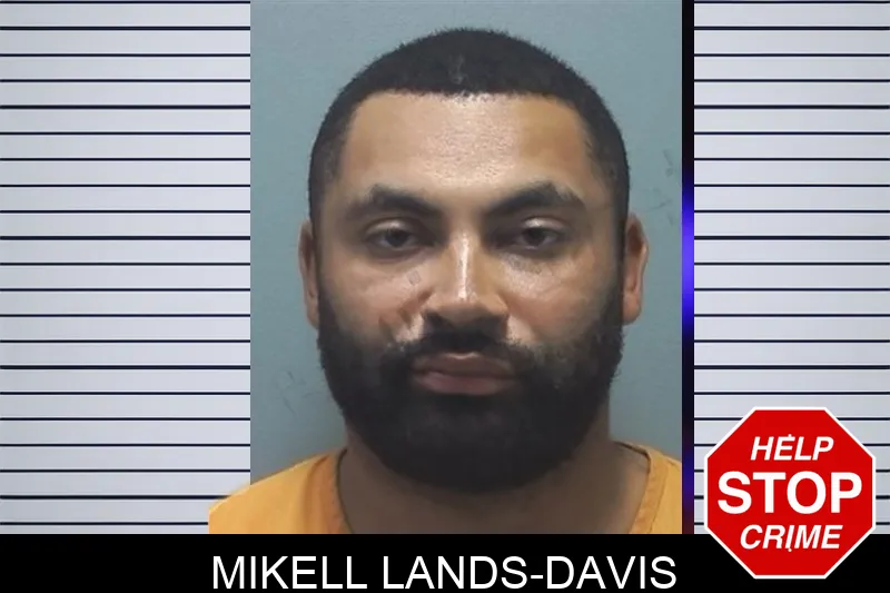 Mikell Lands-Davis mugshot – Cherokee County , Georgia Mikell Lands-Davis mugshot