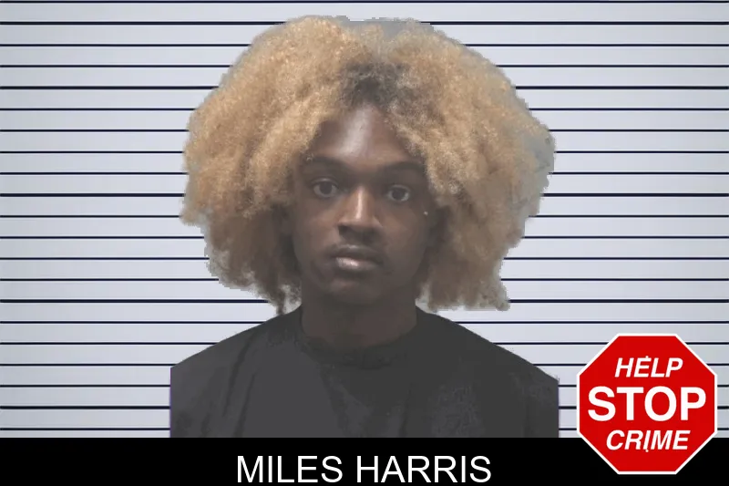 Miles Harris mugshot