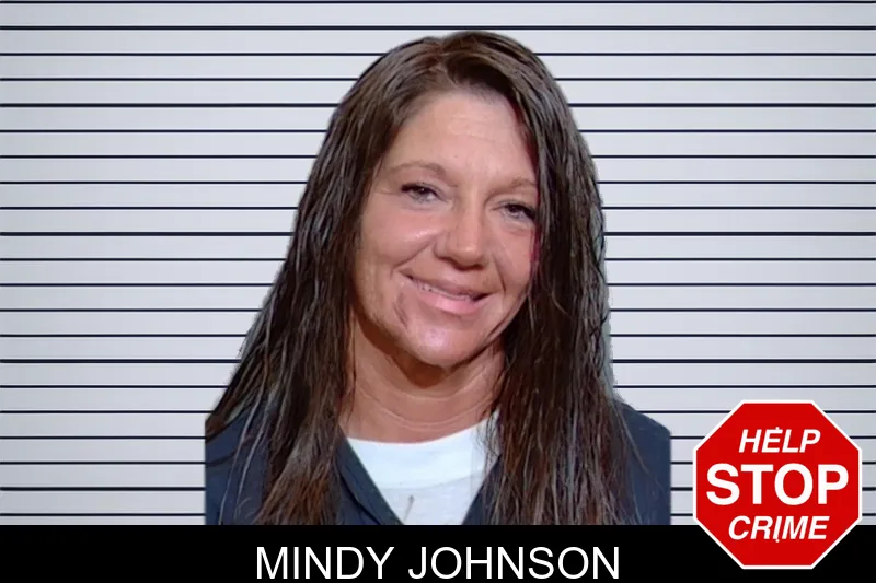 Mindy Johnson mugshot