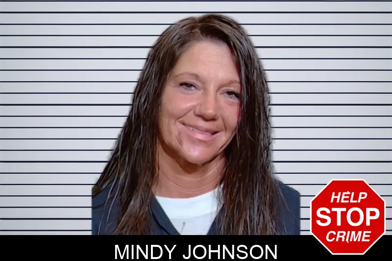Mindy Johnson mugshot