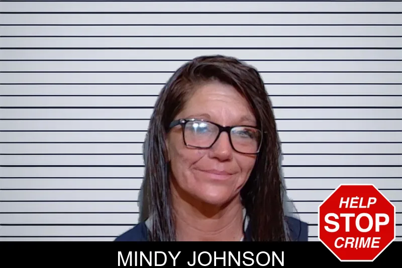 Mindy Johnson mugshot