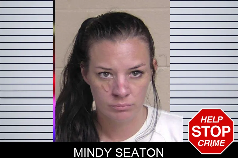 Mindy Seaton mugshot – Walker County , Georgia Mindy Seaton mugshot