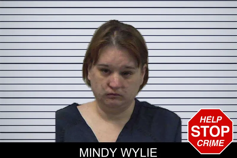 Mindy Wylie mugshot