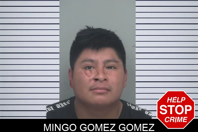 Mingo Gomez Gomez mugshot