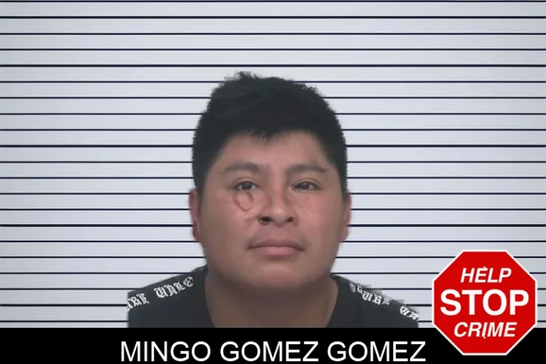 Mingo Gomez Gomez